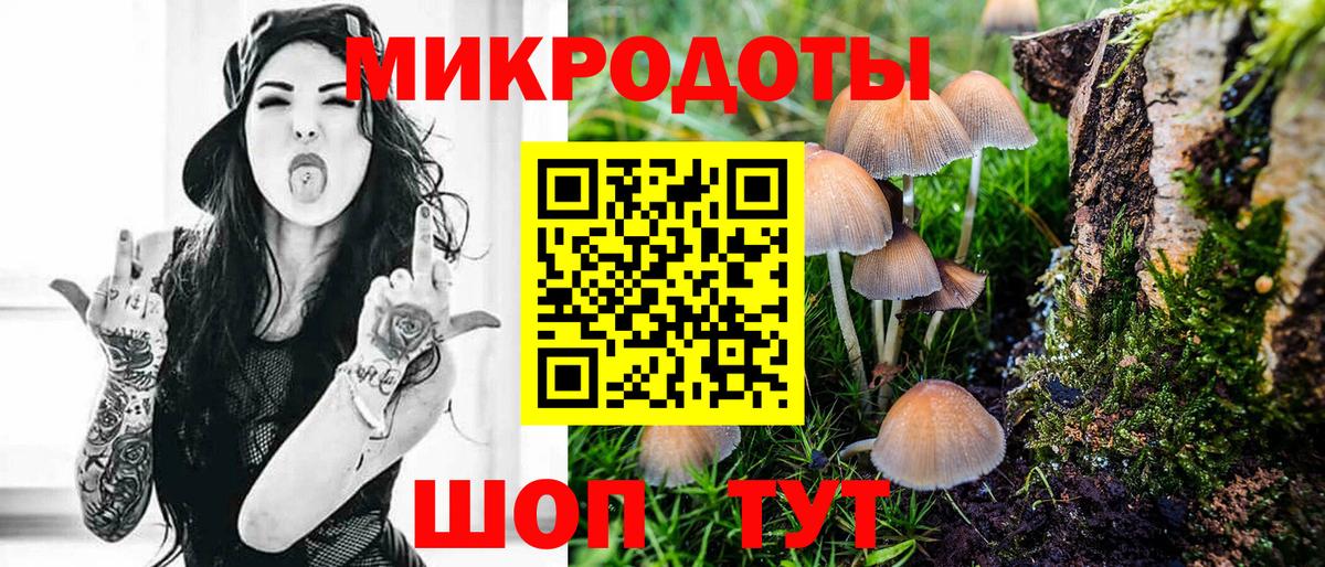 Галлюциногенные грибы Psilocybine cubensis  Вход с VPN  Губкинский  Галлюциногенные грибы прущие грибы 